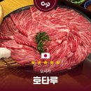 오사카 도톤보리 숨겨진 스키야키 샤브샤브 맛집, 호타루