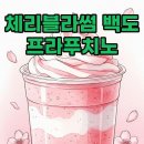 달콤한 나무 | 스타벅스 체리블라썸 백도 크림 프라푸치노, 봄날의 달콤한 맛과 후기