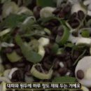 동백과자점 이미지