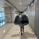 지현세탁소 네이버블로그
