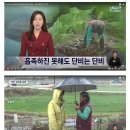 단비인쇄