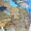 이근형치과의원 이미지