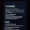 아르떼플레이스 이미지