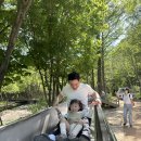 평강펜션 | 하이떼오'daily (포천에서 아이랑 가기좋은 곳 마이애니멀스토리 in 평강랜드 다녀온 후기.)