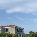 쇠소깍 천일펜션 이미지