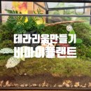 비마이플랜트