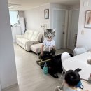 봉스스팀 | [부산] 리클라이너 청소 “비치 움 봉스 홈케어”
