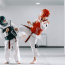 특사 태권도 이미지