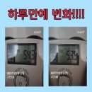 트로핏