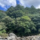 깊은골 캠핑장 이미지