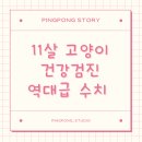 베스트프렌드동물병원 | 11살 고양이 건강검진 | 심장병 호전흐름, 신장수치 역대 최상급 기록 (스코티시폴드 핑이)