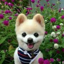 희망농장 이미지