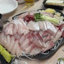 용궁 | [노량진] 형제상회 방어 맛집 용궁횟집 초장집 후기