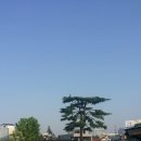 애니카프라자 이미지