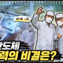 해성디에스주식회사 이미지