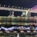 억수로맛있는대교집 | 광안리횟집 억수로 맛있는 대교집 방어회 장어구이