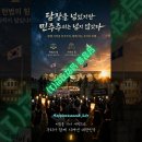 🌿[AI노래정원] 담장을 넘었지만(1) 이미지