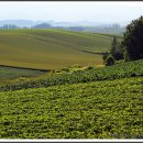 푸른농장2 이미지