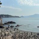 GS25전주대뉴타운점 | 여행일기_호텔마들렌사천