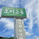 오미고을 네이버블로그