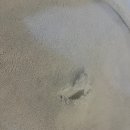 얌(YAM) | 순천 연향동 호텔 얌(YAM) 역대급 더러운 후기, 여기어때 응대 최악 후기