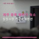 월정소랑 | 제주 동쪽 해변가 숙소 월정소랑 제주독채펜션 주차 편리한 독채형 숙소 정보