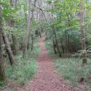 봉암동252 이미지