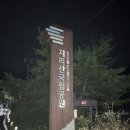 22년 8월 14일 지리산 중산리 - 거림 산행 이미지