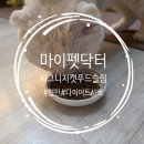 [ 고양이다이어트사료 ] 뚱 고양이사료 마이펫닥터 시그니처 캣푸드 슬림 솔루션
