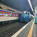 안양골농원 | [광양] 쫒비산