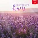 온천기물 이미지