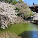 제주도 가족 펜션 오드리하우스 이미지