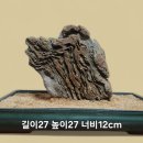 발돋움 - 금천구 서부샛길 606 | 발돋움