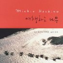 여행하는 나무 이미지