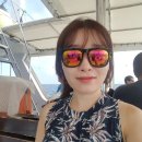 [텐션 62기] 파이롯또 프로필입니다~ 이미지