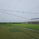 오성농장 | 평택 애견카페 T&amp;T 솔직후기, 대형견, 소형견 운동장이 완벽분리