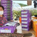 화성2리 이미지