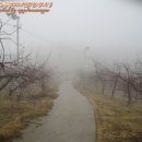 하늘농장5 이미지