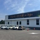 지브린 | 지브리 덕후가 다녀온 스튜디오 지브리 인 제주 후기 주차 굿즈 총정리
