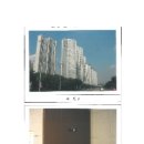 산호대로-1 네이버블로그