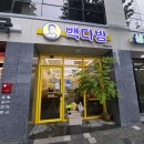 용문비타민약국 | 대전 용문점 빽다방 신매뉴 후기겸 카페 소개