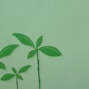 당진을 노래하다 이미지