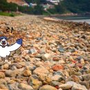 여수몽돌 이미지