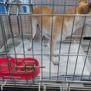 인월동물병원 이미지