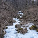 경기둘레길 양평26코스 | 경기둘레길 양평 26코스 - 잘 닦인 임도를 홀로 걷다보면, 무념무상의 세계로 빠지는 매력이 있는