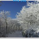 그랜드장여관 이미지