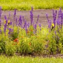 분당행정사 사무소 이미지