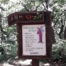 [ 6 월 10 일 ] 금정산 범어사 숲속둘레길 도보이모저모 사진 이미지