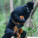 쌍둥이민박 이미지