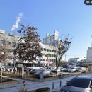 오륜정 | 강동구 돼지갈비 맛집 오륜정 성내동 한우국밥 육회 비빔밥 점심 메뉴 추천